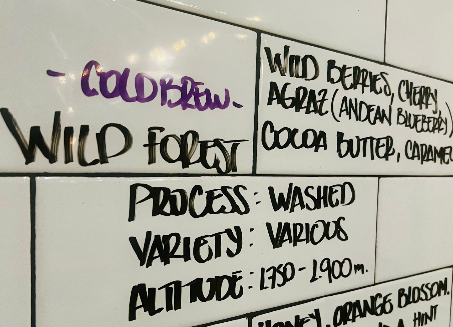 COLOMBIAN WILD FOREST