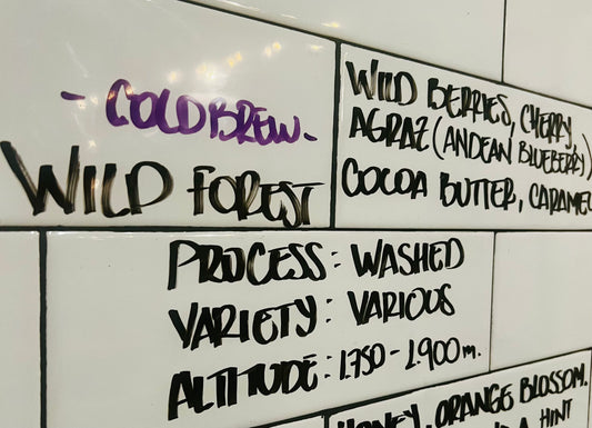 COLOMBIAN WILD FOREST