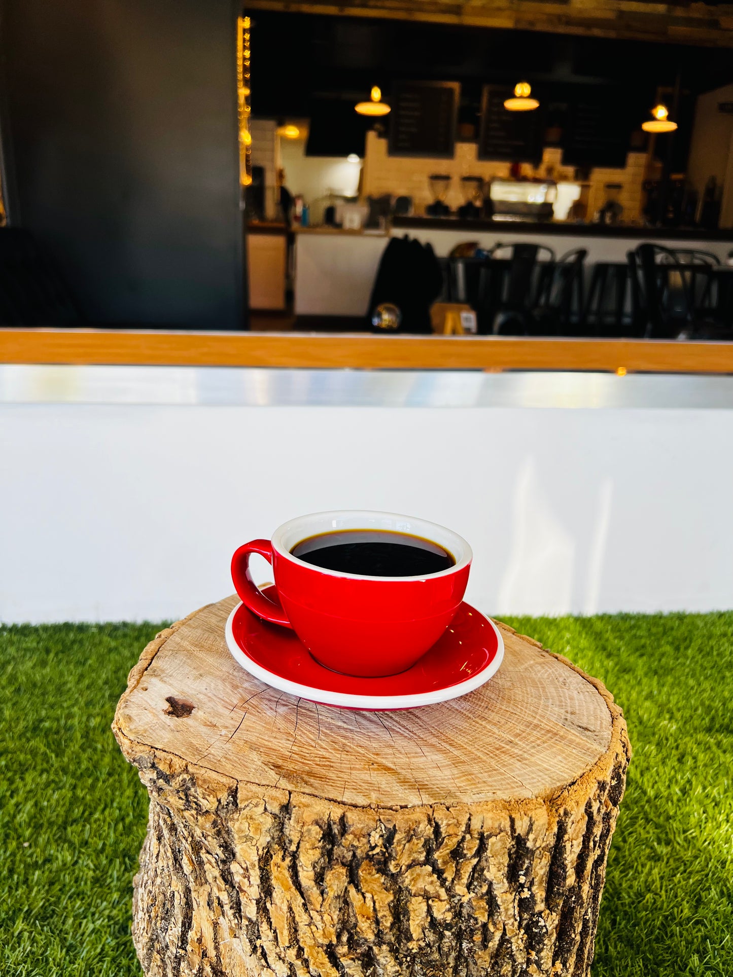 COLOMBIAN WILD FOREST