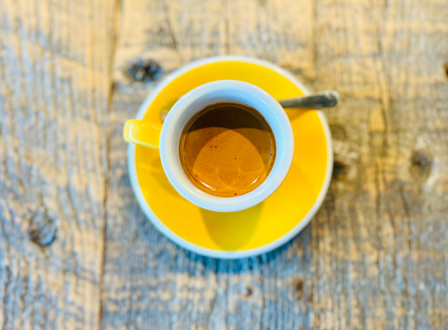 COLOMBIAN WILD FOREST